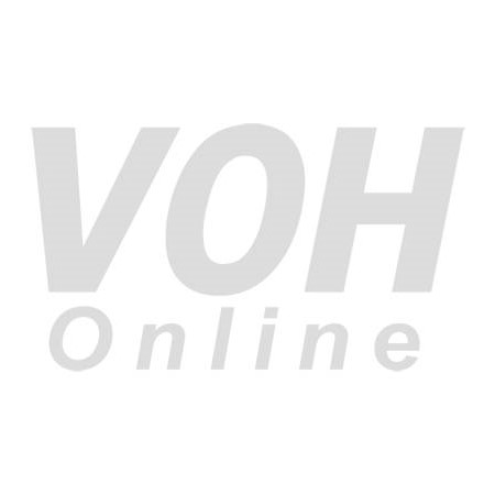 Xanh mát ở tòa nhà Bạch Dinh- Vũng Tàu